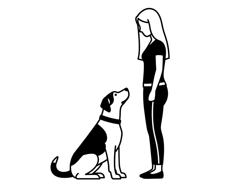 Icon individuelles Hundetraining In einer Trainingssituation sitzt ein schwarz-weißer Hund vor einer Frau und schaut sie an.